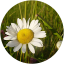 Małgorzata F. profile picture