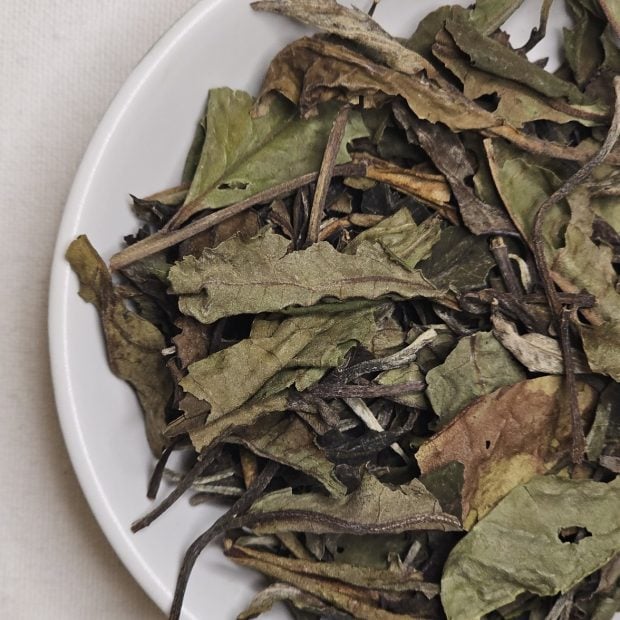 Pai Mu Tan, liście białej herbaty na talerzyku.