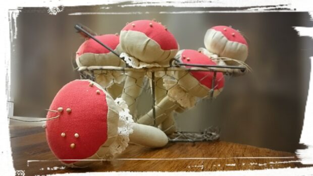 Esencja Sanok - Muchomorek Lniany - zdjęcie poglądowe