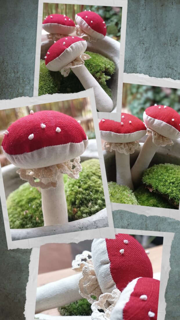 Esencja Sanok - Muchomorek Lniany - zdjęcie poglądowe