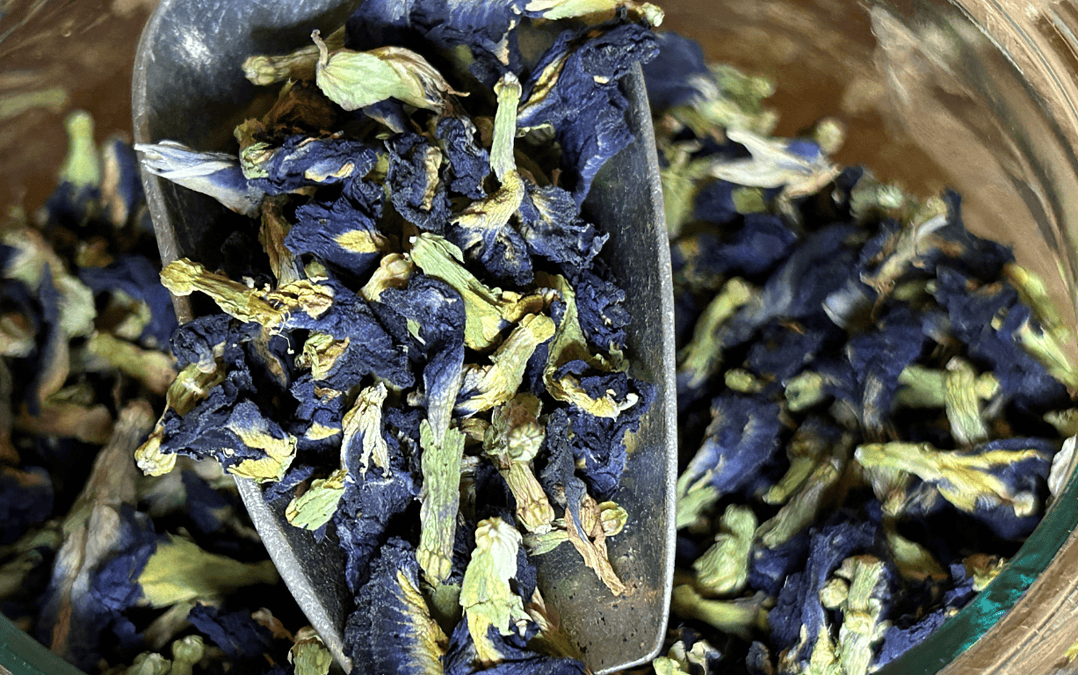 Sekret Blue Matcha – naturalny kwiat o niezwykłych właściwościach!