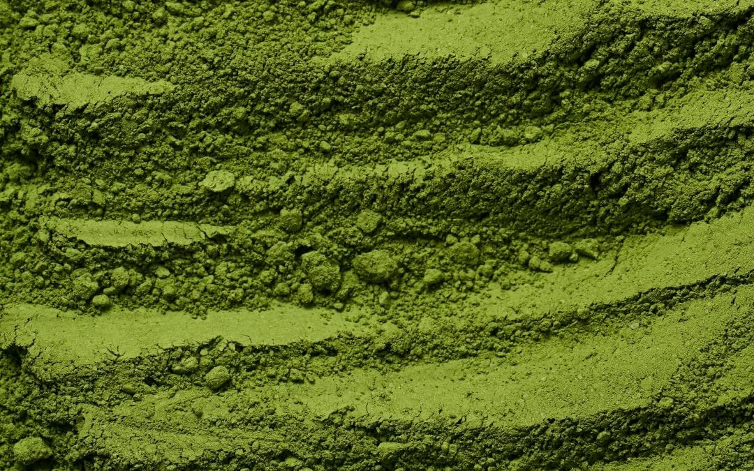 Smak Japonii w Esencji – poznaj nasze nowe matche