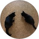 Anna A. profile picture