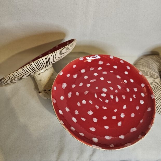 Patera Muchomor - widok z góry